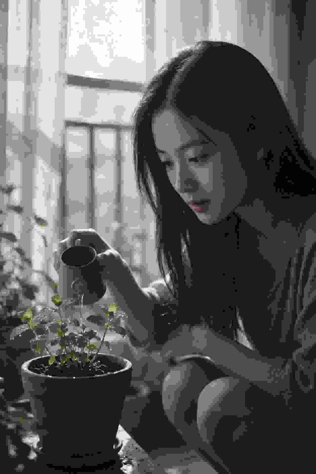 狐妖小红娘